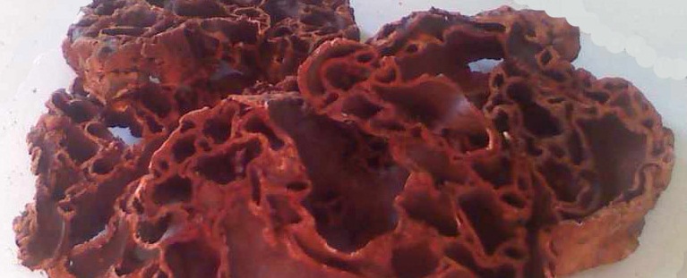 Hukum Membunuh Semut Yang&nbsp;Mengganggu