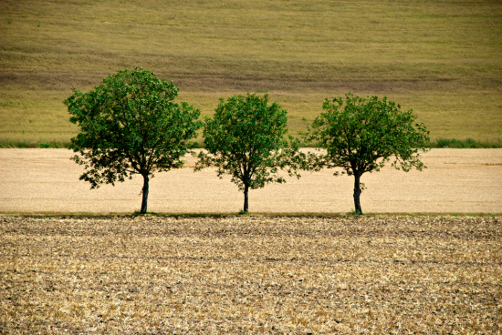 Manfaat Pembagian Tauhid