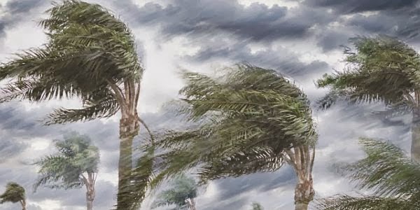 Yang Dianjurkan Ketika Melihat Angin&nbsp;Kencang