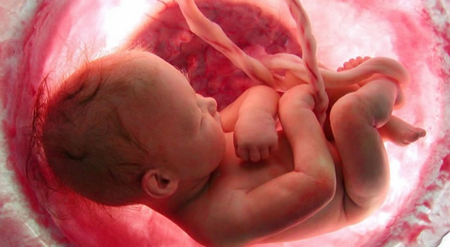 Mengugurkan Janin Sebelum 40&nbsp;Hari