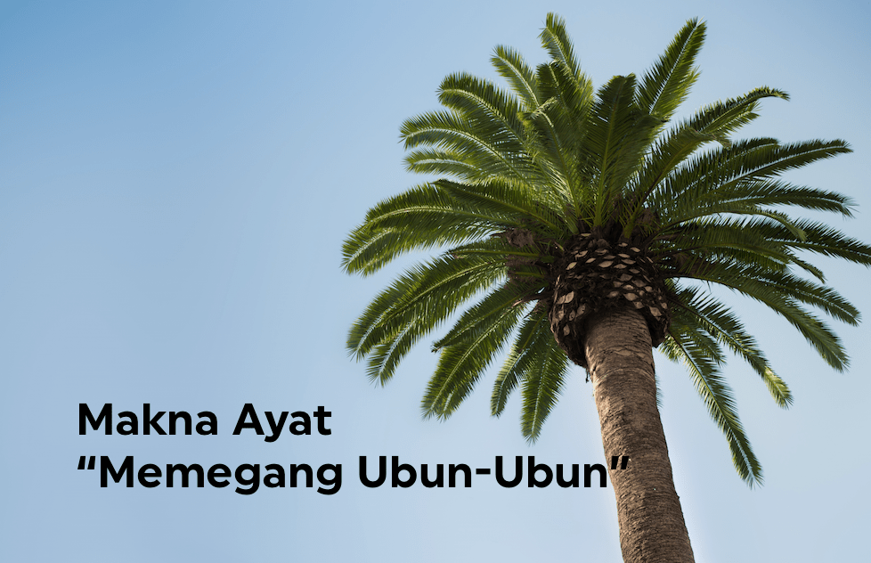 Makna Ayat: “Memegang Ubun-Ubun”
