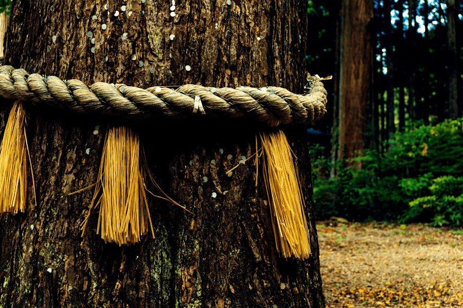 Makna Keberkahan Dan Cara&nbsp;Mendapatkannya