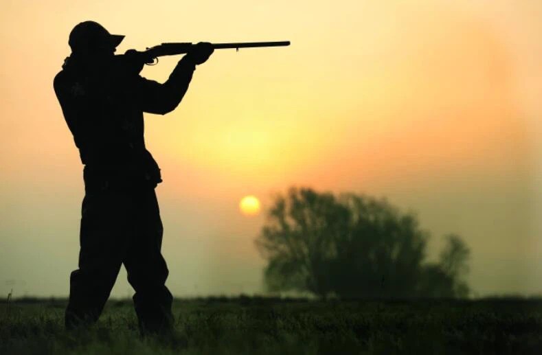 Hukum Berburu Binatang Untuk Sekedar Hiburan&nbsp;Saja